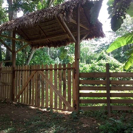 Tambopata River Puerto Maldonado Zewnętrze zdjęcie