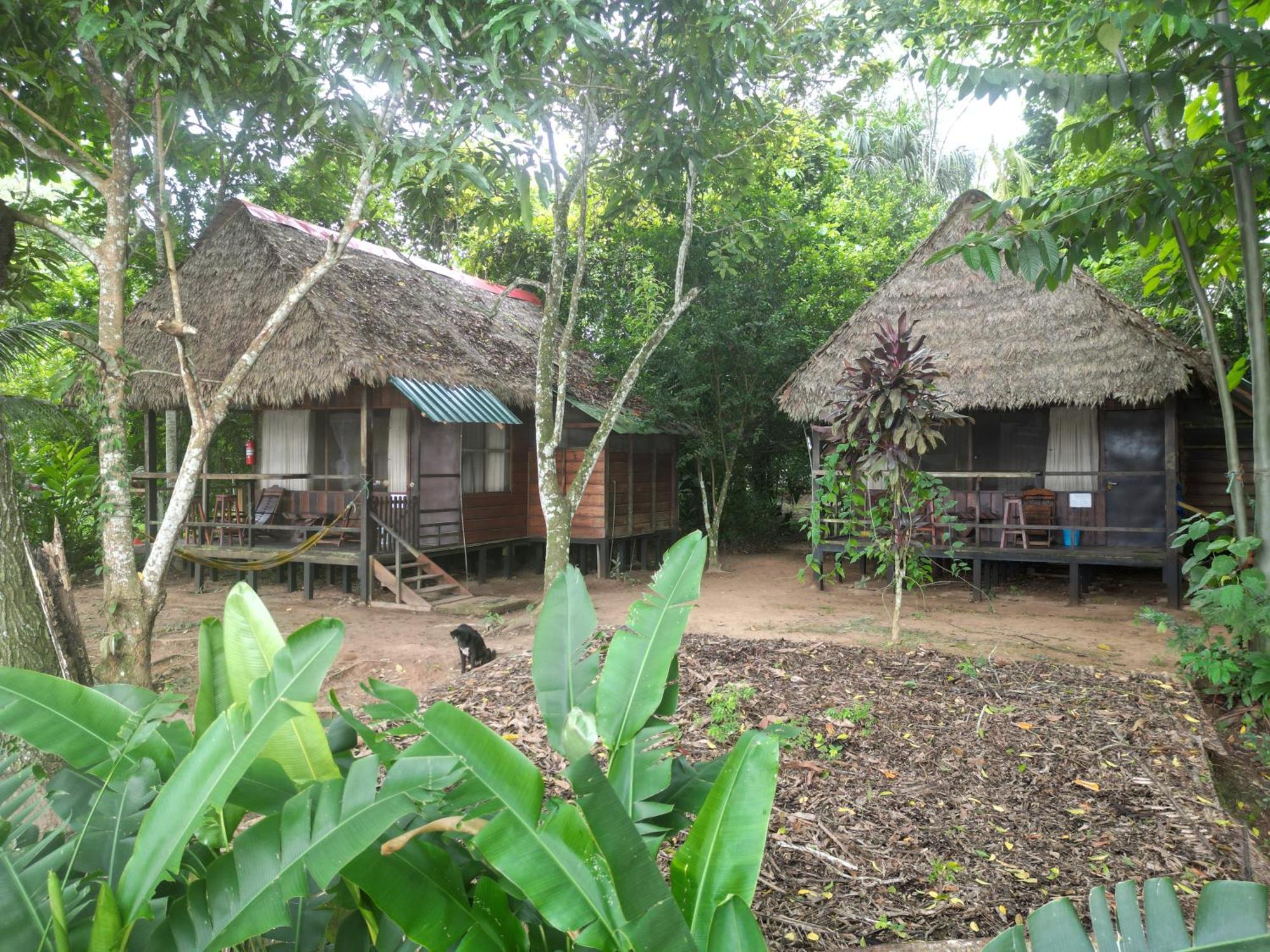 Tambopata River Puerto Maldonado Zewnętrze zdjęcie