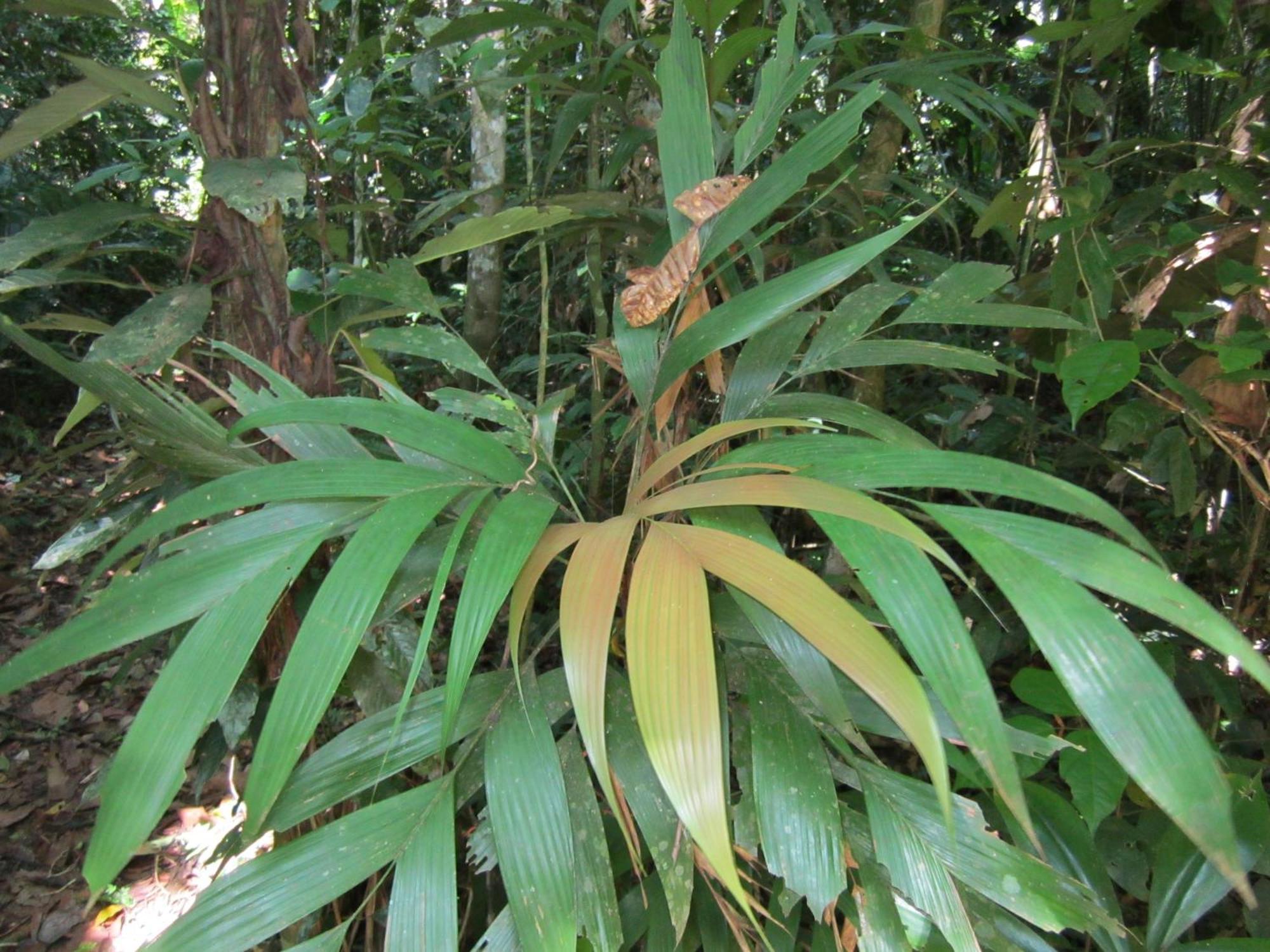 Tambopata River Puerto Maldonado Zewnętrze zdjęcie
