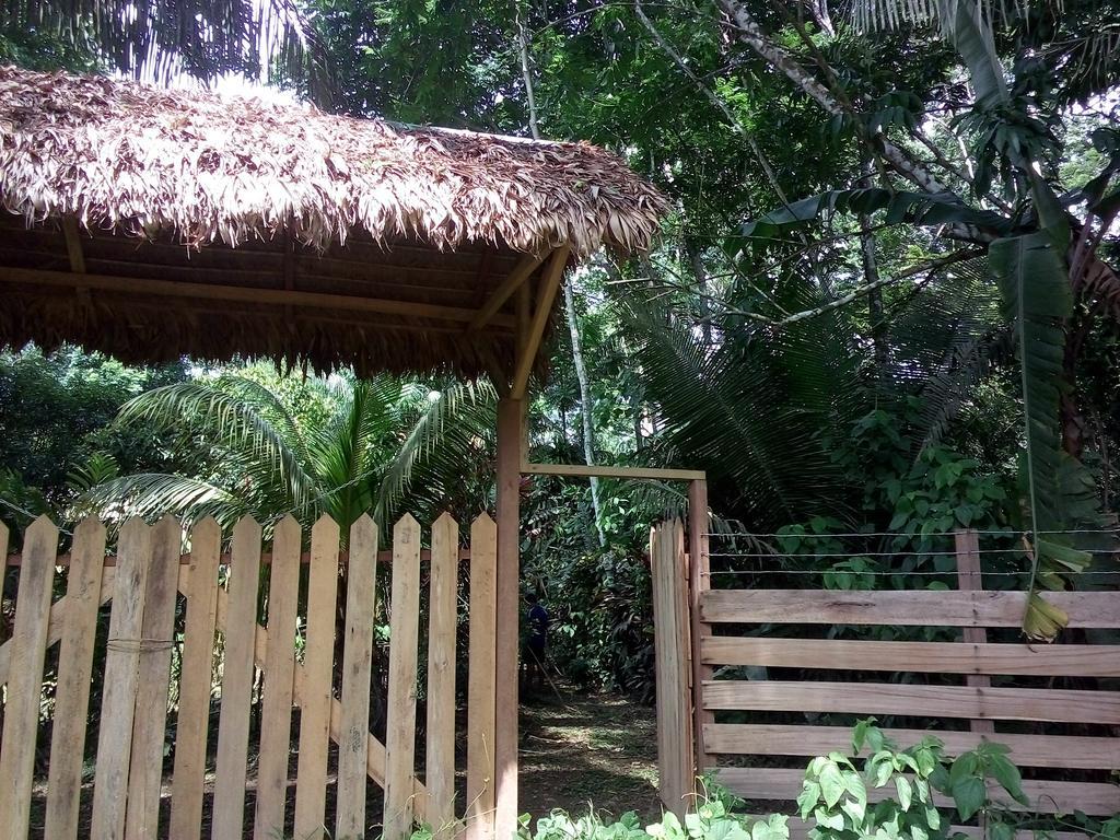 Tambopata River Puerto Maldonado Zewnętrze zdjęcie