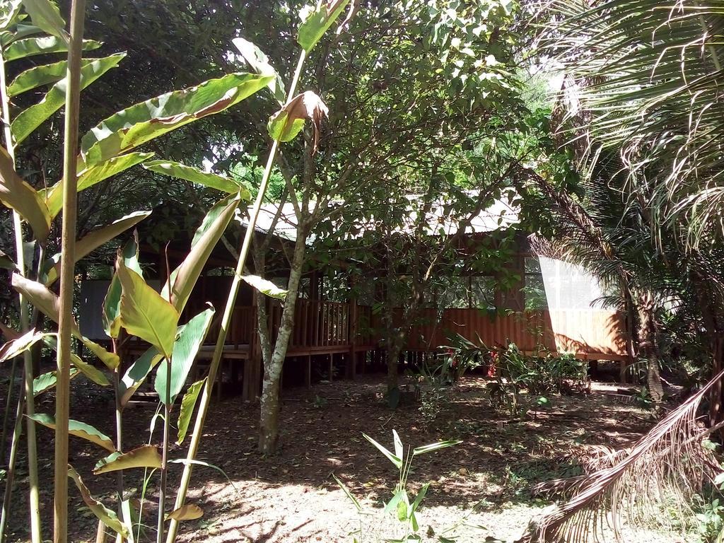 Tambopata River Puerto Maldonado Zewnętrze zdjęcie