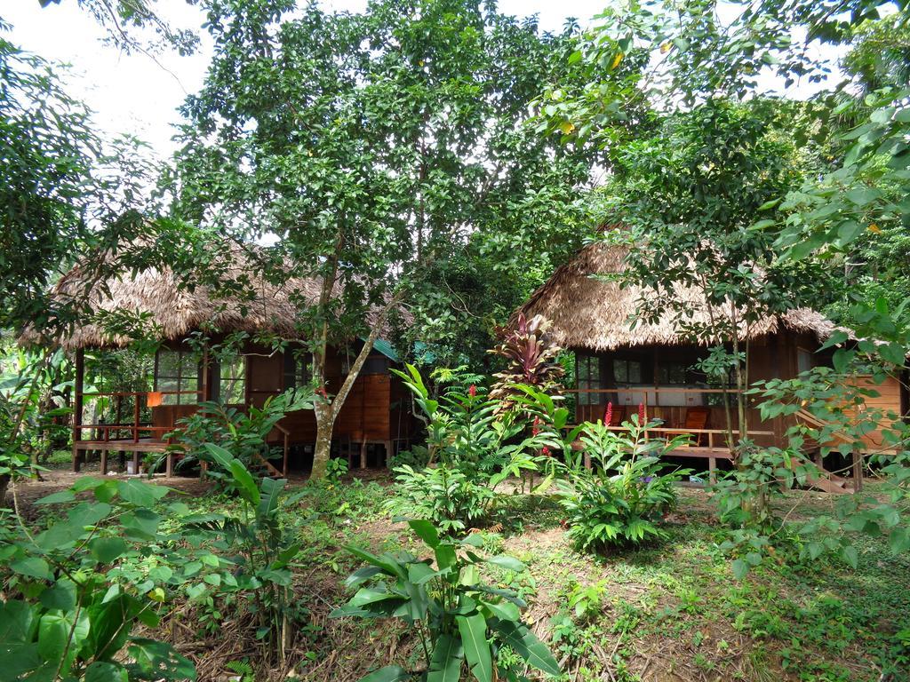Tambopata River Puerto Maldonado Zewnętrze zdjęcie