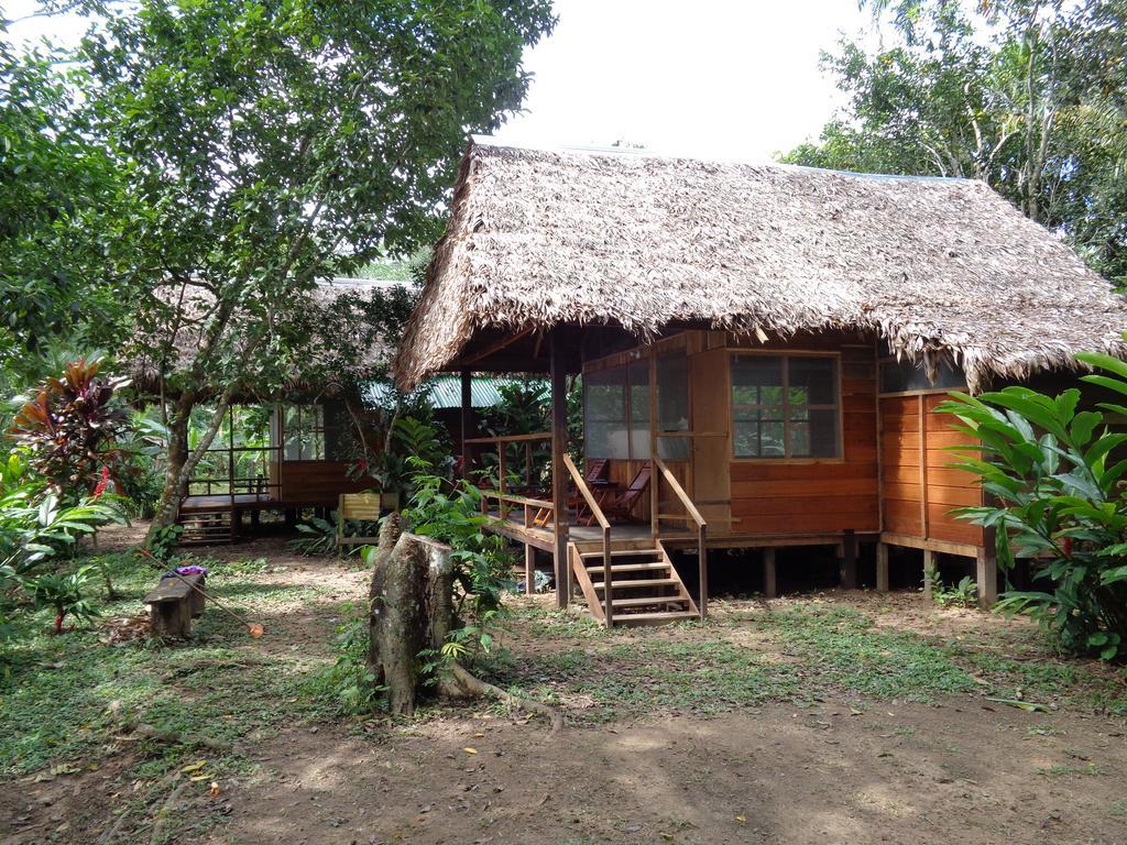 Tambopata River Puerto Maldonado Zewnętrze zdjęcie