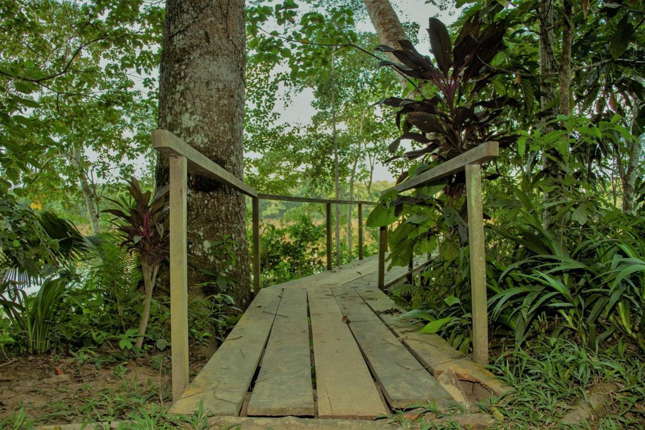 Tambopata River Puerto Maldonado Zewnętrze zdjęcie